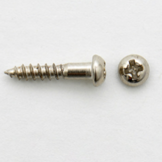 Göldo Vintage Tuner Screws nickel