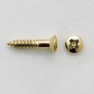 Göldo "G-Type" Pickguard Screws gold