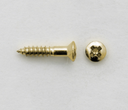 Göldo "G-Type" Pickguard Screws gold