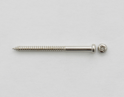 Göldo Pickup Wood Screws for Bass & P90 Pickups nickel