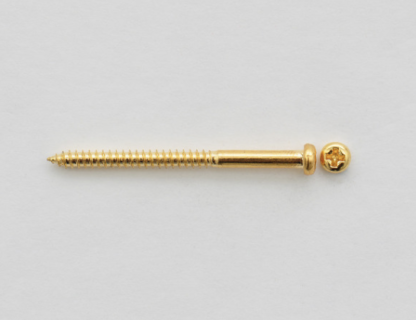 Göldo Pickup Wood Screws for Bass & P90 Pickups gold