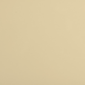 göldo Pickguard Blank / 1-layer / cream