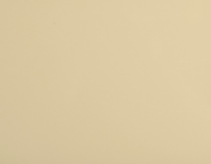 göldo Pickguard Blank / 1-layer / cream