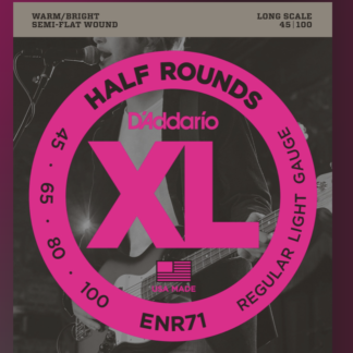 D'Addario ENR71 Regular Light 045 - 100 half wound