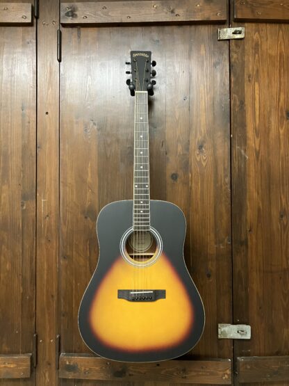 Santana LA-90 SABW western-guitar satin brown