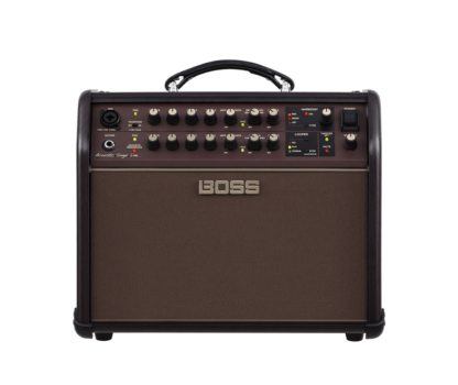 Roland Acoustic Singer Live
