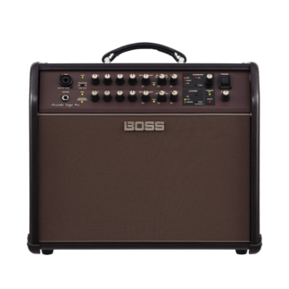 Roland Acoustic Singer PRO