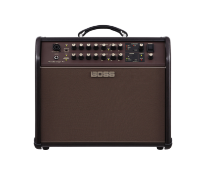 Roland Acoustic Singer PRO