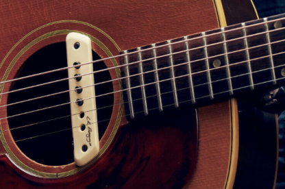L.R. Baggs M1 Active - Image 2