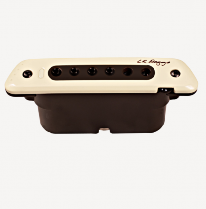 L.R. Baggs M80