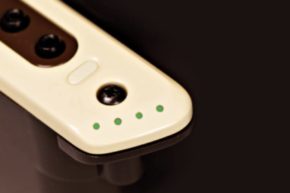 L.R. Baggs M80 - Image 3