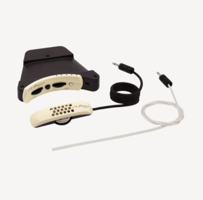 L.R. Baggs Anthem pickup-system.