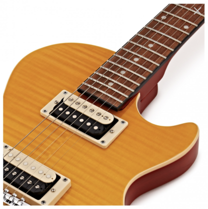 Epiphone P AFD Slash Les Paul Special II player pack - Image 7
