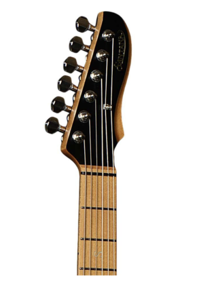 Santana Pegasus Deluxe Limited Run PB el-guitar pelham blue (demo) - Image 3