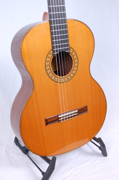 Santana ST650-E Master Build m.pickup - Image 2