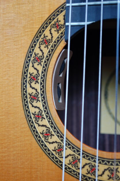 Santana ST650-E Master Build m.pickup - Image 9