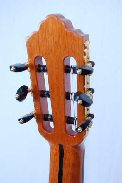 Santana ST650-E Master Build m.pickup - Image 7