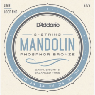 D'Addario EJ73 010 - 038 phosphor bronze mandolin strings