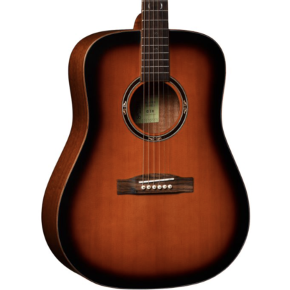 Santana Player D10 BW western-guitar brown burst - Image 6