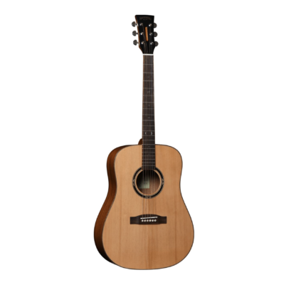 Santana Player D10 NA western-guitar natur