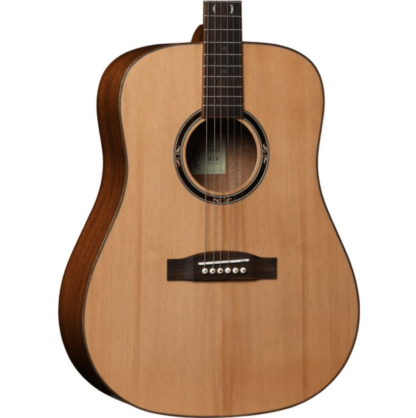 Santana Player D10 NA western-guitar natur - Image 6