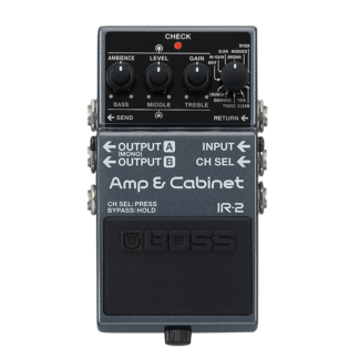 BOSS IR-2 Amp &  Cabinet.