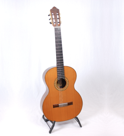 Santana ST650-E Master Build m.pickup