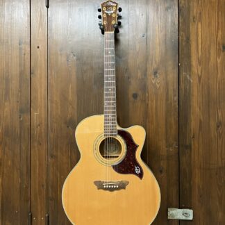 Washburn Jumbo 28SCEDL (brugt)