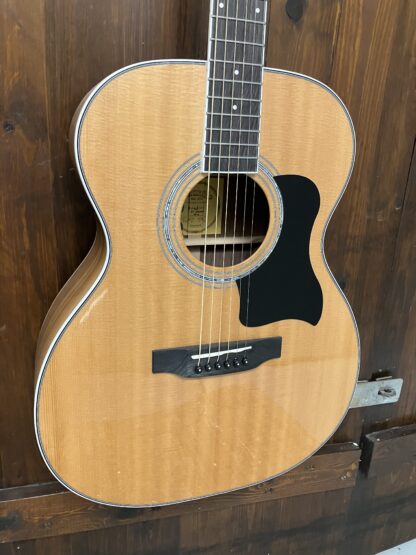 Santana ST-300 WF NA - Billede 9