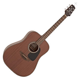 Takamine GD11M Natural