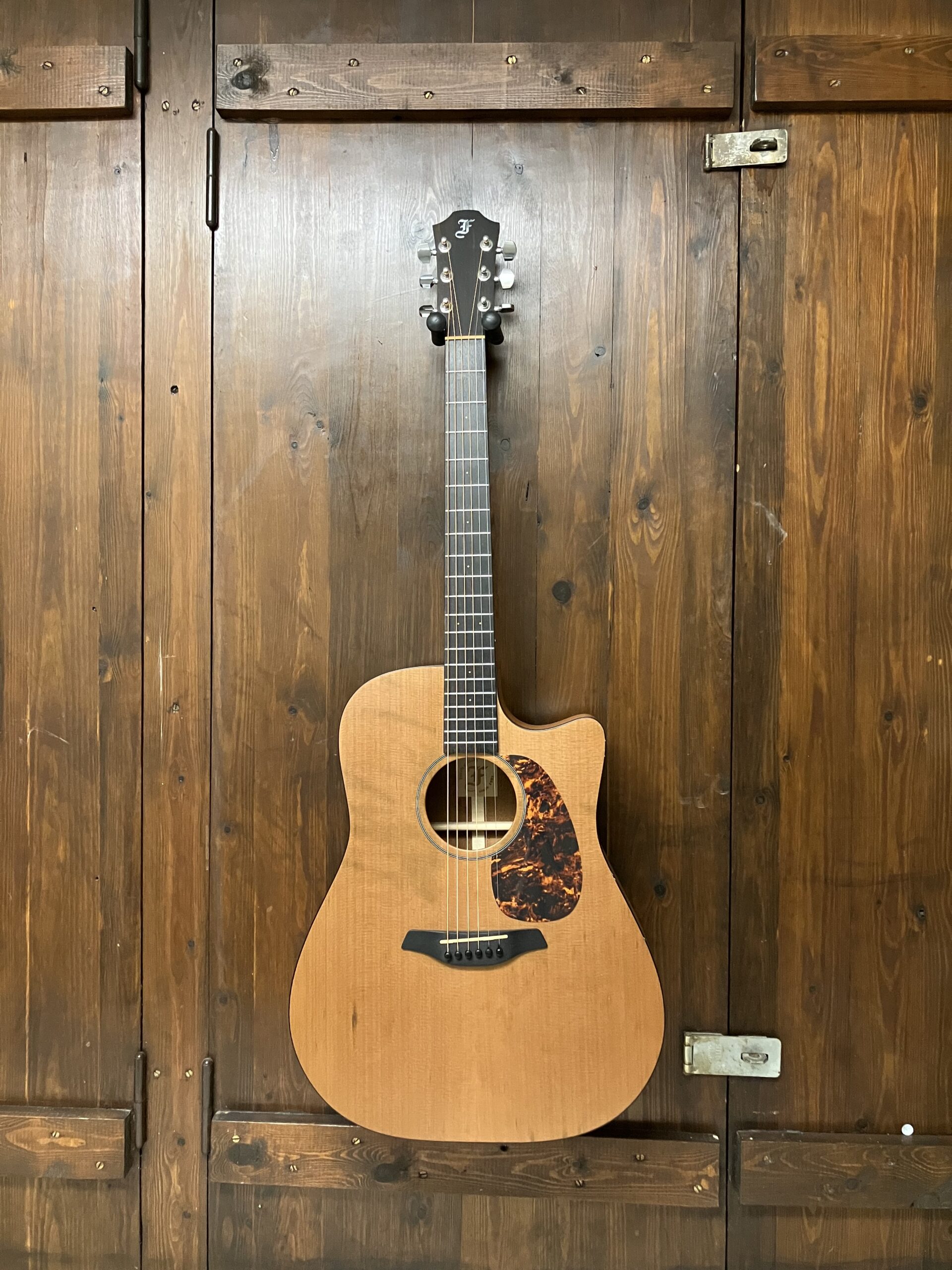 Furch D19-CM CUT - LR Baggs Stage Pro Element (brugt)